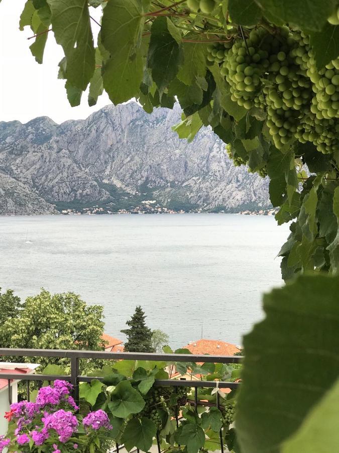 Vasko & Jana Kotor Exterior photo
